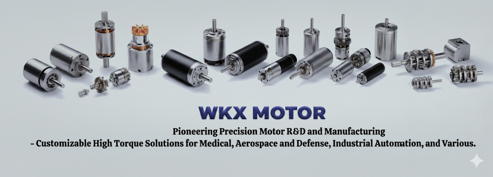 WKX MOTOR